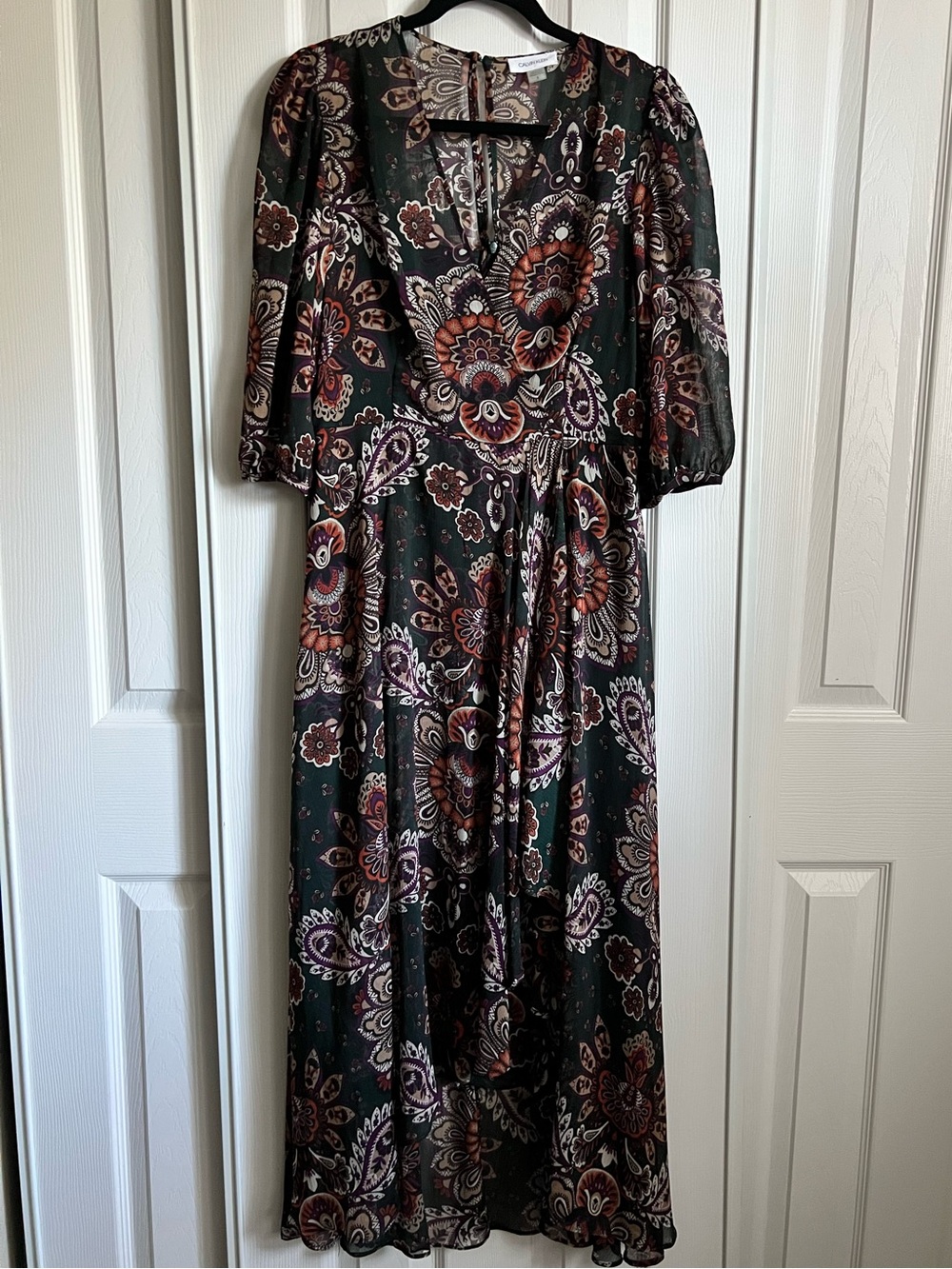 CALVIN KLEIN Chiffon Maxi Hi-Lo Hem Green/Orange/cream Floral Fall Dress Size 8